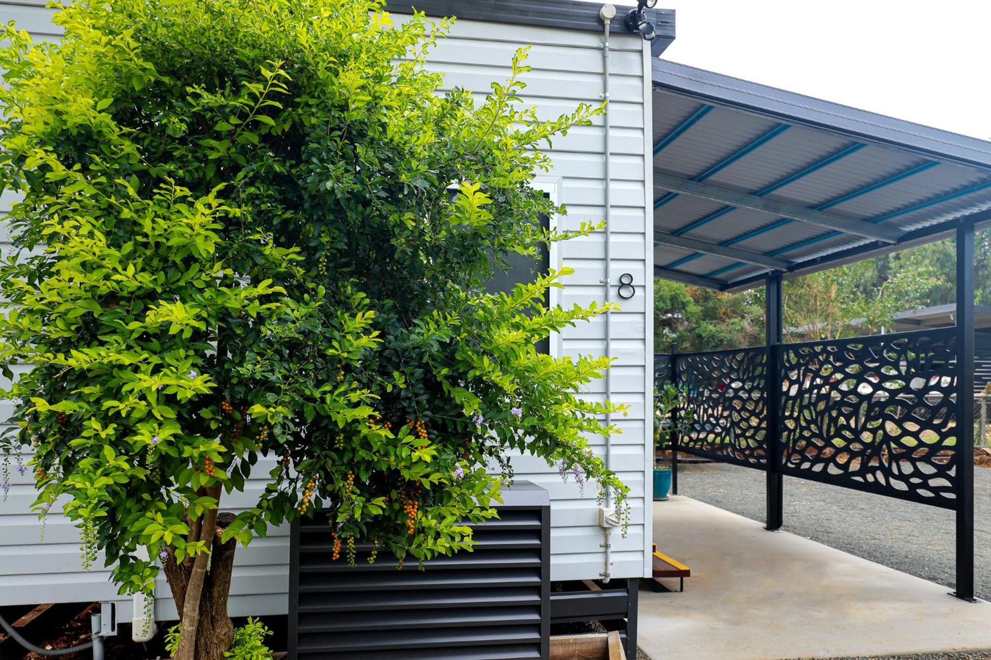 Kingaroy Holiday Park Buitenkant foto